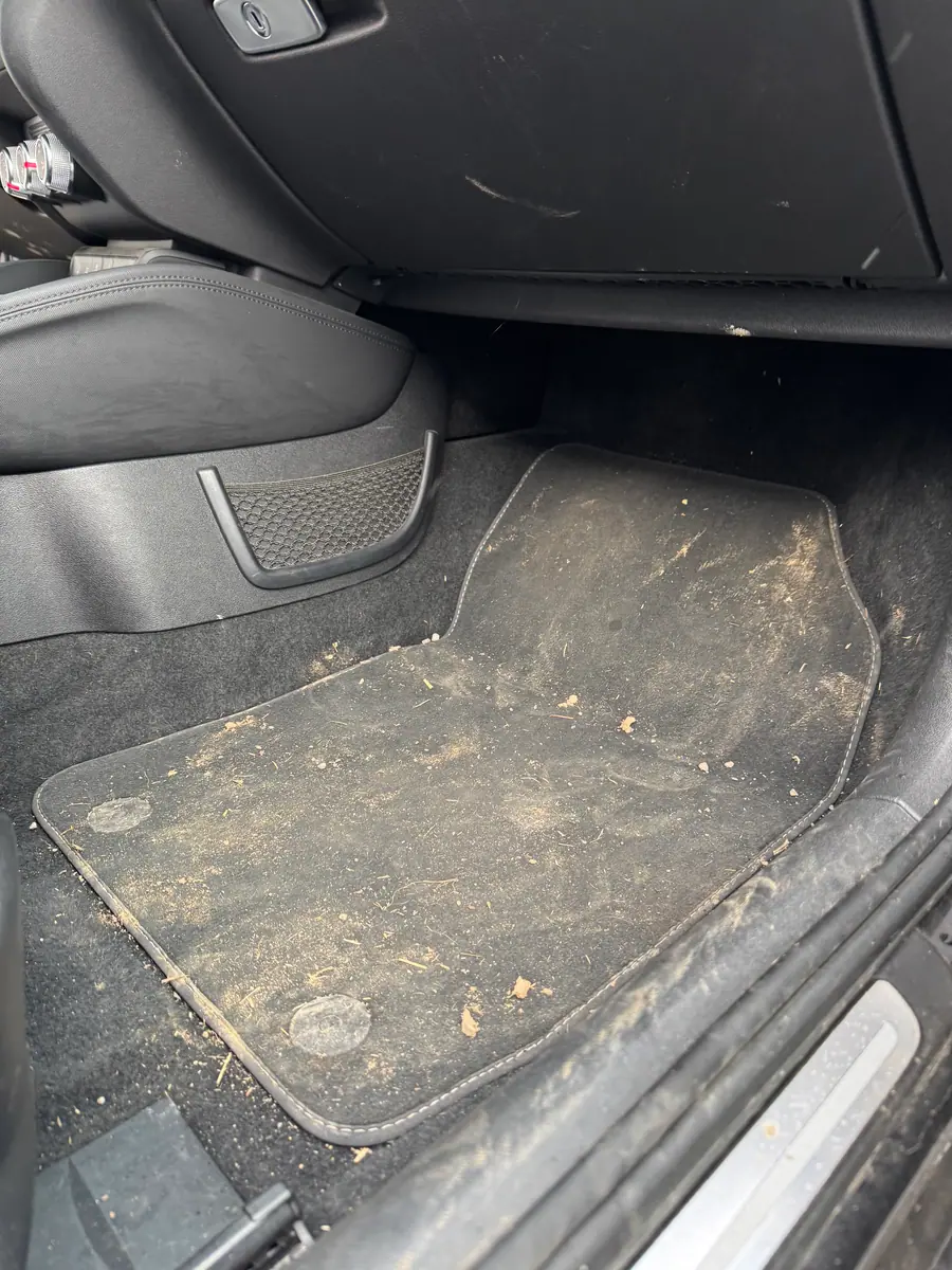 Vorher: Fußmatte verschmutzt